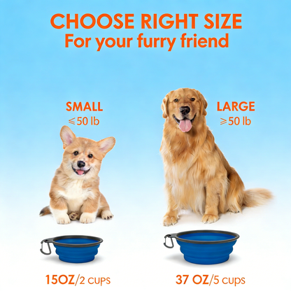 Collapsible Silicone Pet Bowl with Carabiner – Portable Dog & Cat Water/Food Bowl for Travel