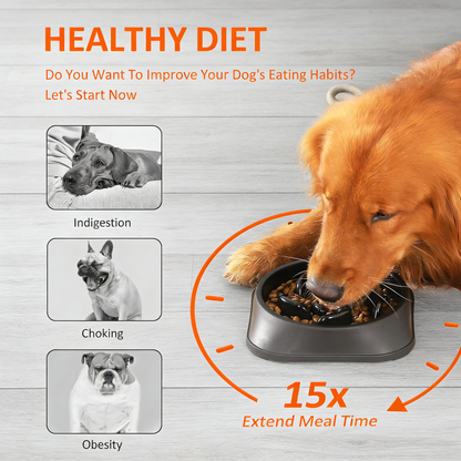 Slow Feeder Dog Bowl – Anti-Gulping Non-Slip Puzzle Bowl for Small to Medium Dogs