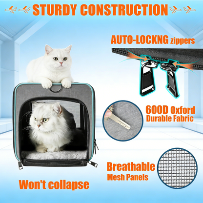 Airline Approved Pet Carrier with Cozy Fleece Pad – Collapsible Travel Bag for Cats & Small Dogs